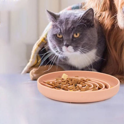 Gamelle anti-glouton chat chat devant gamelle couleur orange