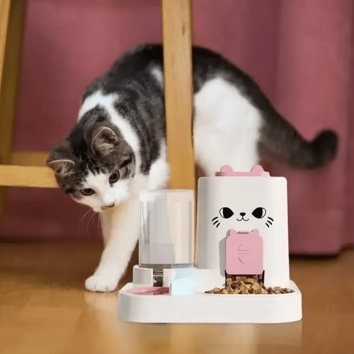 Gamelle automatique chat chat derriere gamelle rose