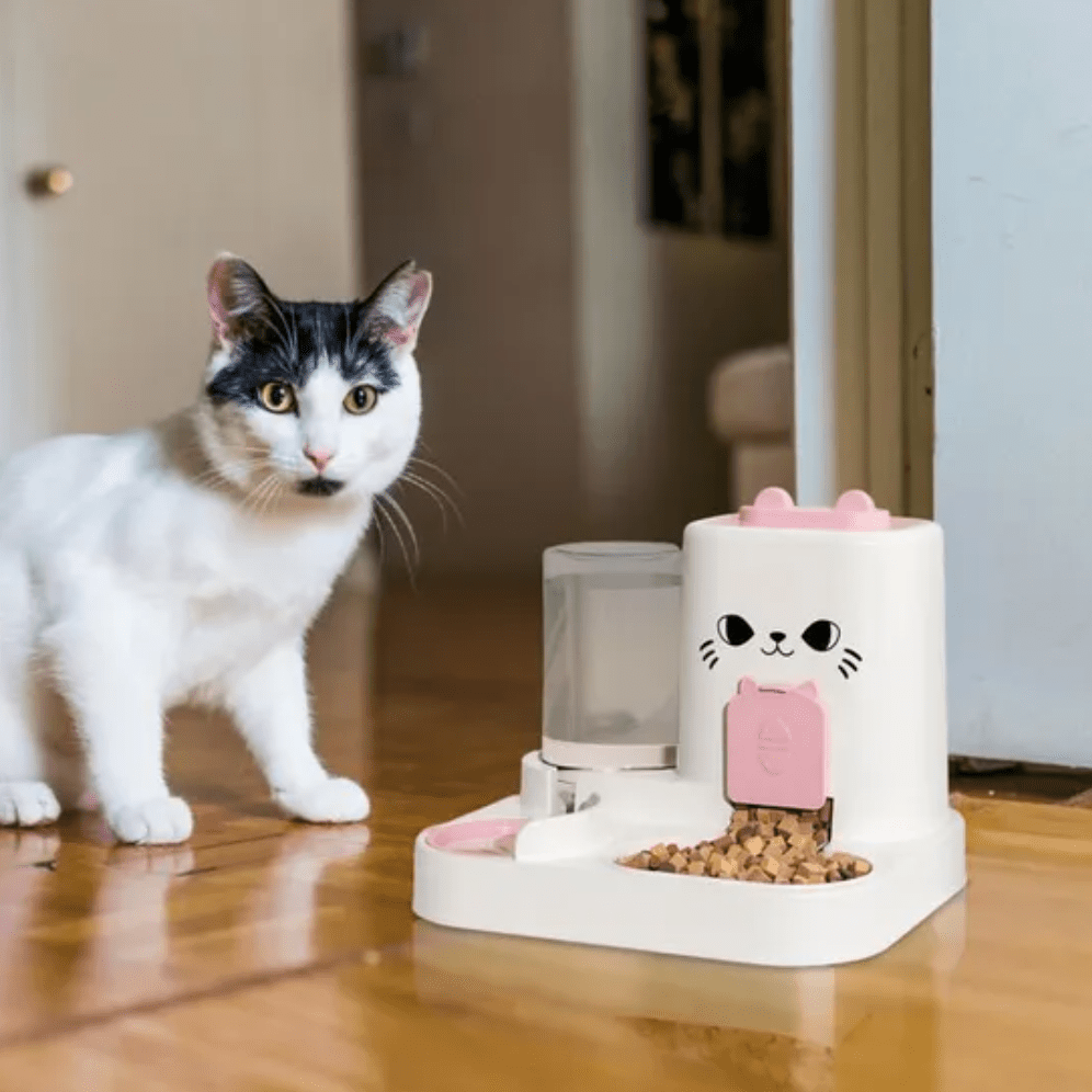 Gamelle automatique chat chat pres gamelle rose