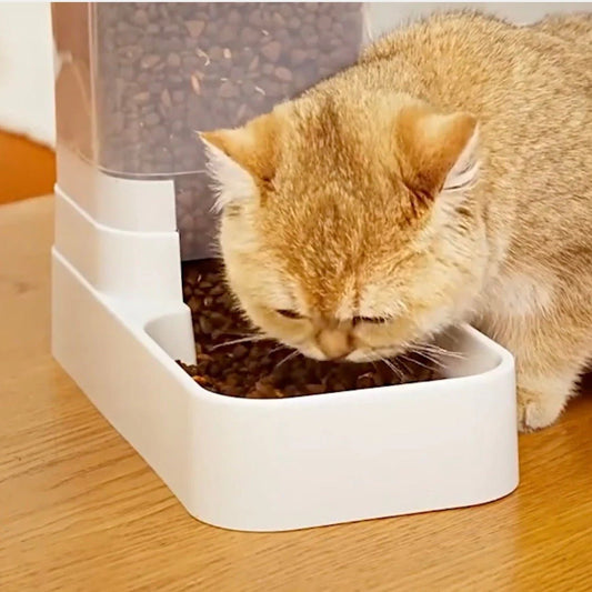 Gamelle automatique chat chat mange gamelle