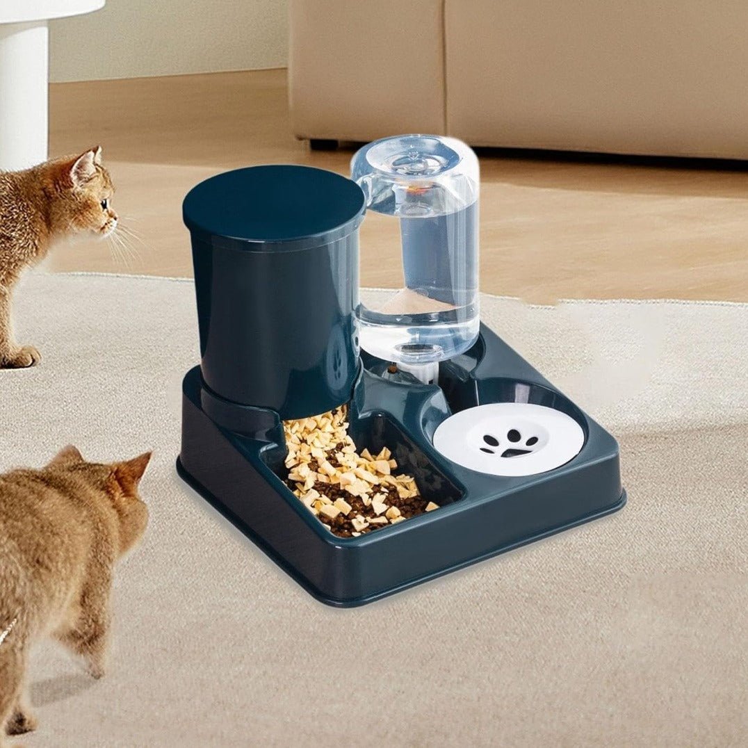 Gamelle automatique pour chat deux chat approche gamelle automatique