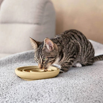 Gamelle chat anti glouton chat mange croquettes gamelle beige