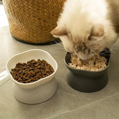 Gamelle chat deux gamelle chat mange gamelle grise