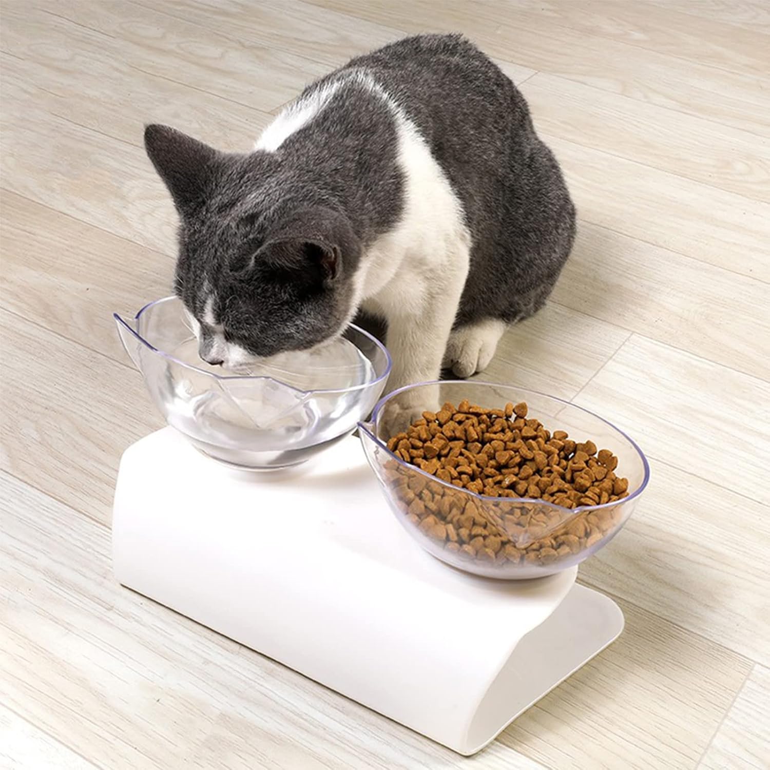 Gamelle Chat - CatDoubleBowl™ - Transparent - Patte et Moustache