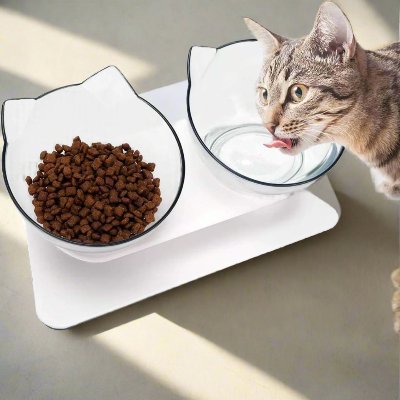 Gamelle Chat - CatDoubleBowl™ - Transparent - Patte et Moustache