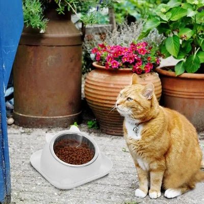 Gamelle Chat - CatTiltProof™ - Blanc - Patte et Moustache