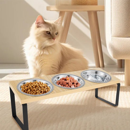 Gamelle chat surelevee chat assis derriere gamelle chat surelevee