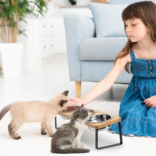 Gamelle chat surelevee deux chaton mange croquette gamelle surelevee fillette