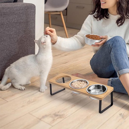 Gamelle chat surelevee maitresse donne friandise chat