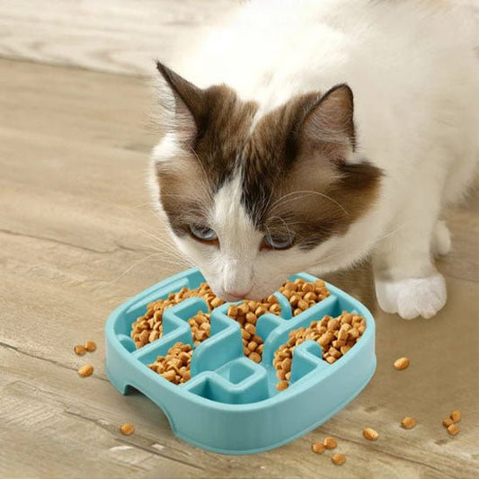Gamelle pour chat anti glouton chat mange