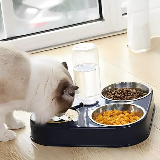 Gamelle pour chat chat boit gamelle