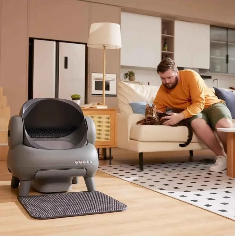 Litiere automatique chat moment serenite avec humain