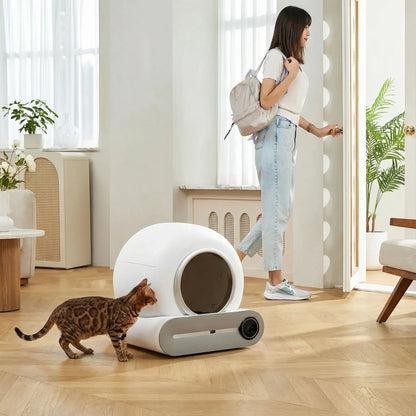 Litière automatique chat regarde personne partir sans contrainte.