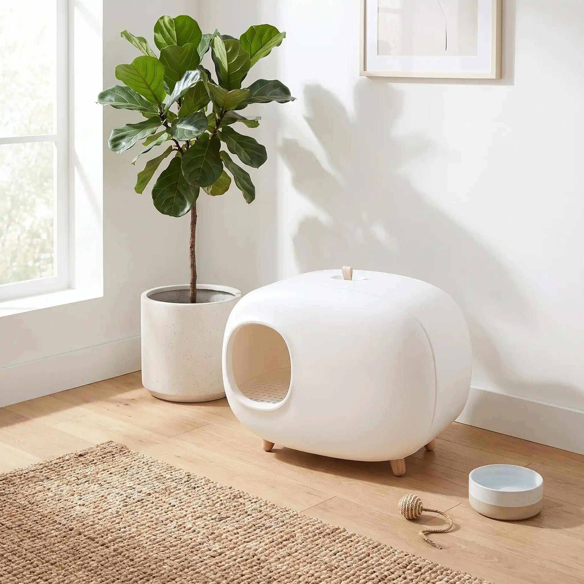 Maison de toilette pour chat design présentation
