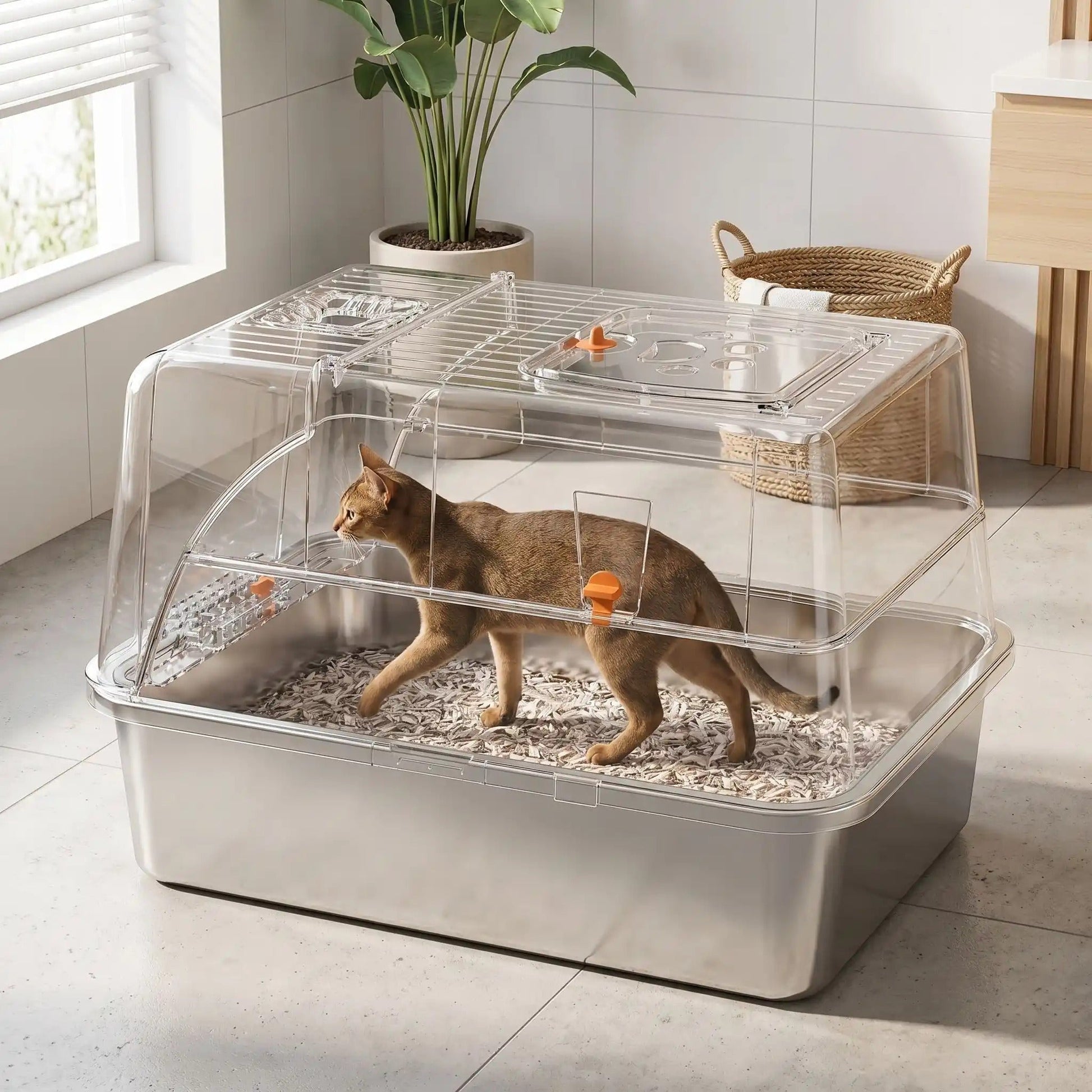 Maison toilette pour chat espace intérieur