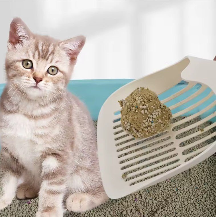 Pelles à litière pour chats chat avec pelle