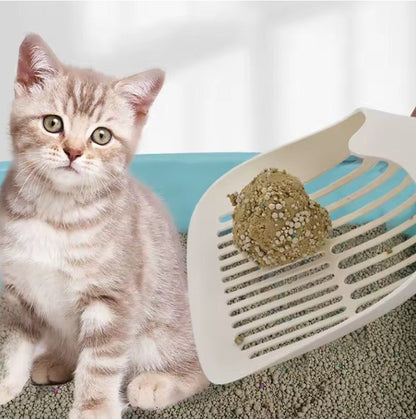 Pelles à litière pour chats chat avec pelle