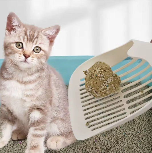 Pelles à litière pour chats chat avec pelle