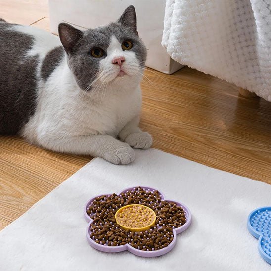 Tapis de lechage chat regarde en haut devant tapis