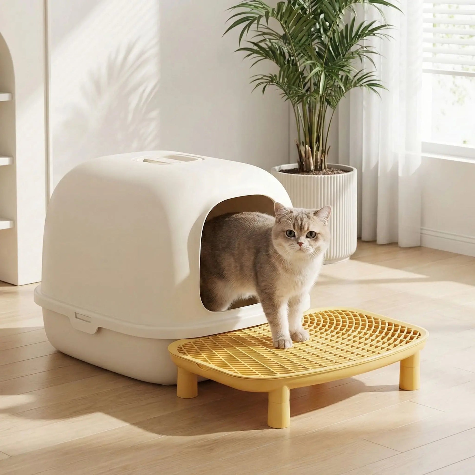 Tapis de litière pour chat chat sort bac marchepied