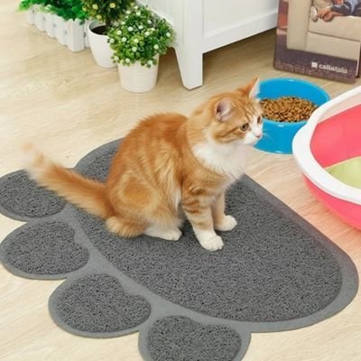 Tapis litière chat chat sur tapis litiere couleur gris regarde