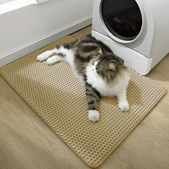 Tapis pour litière chat chat couche sur tapis couleur beige