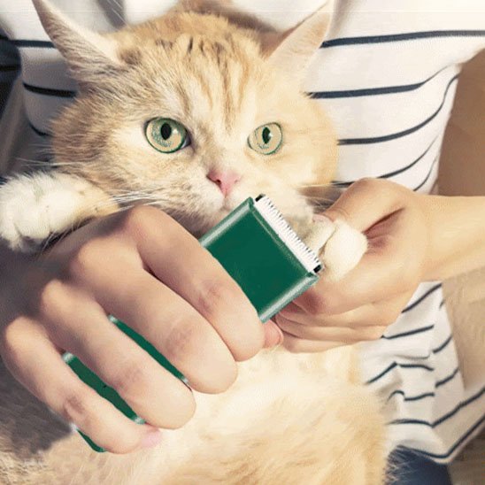Tondeuse pour chat avec noeud l'allié douceur