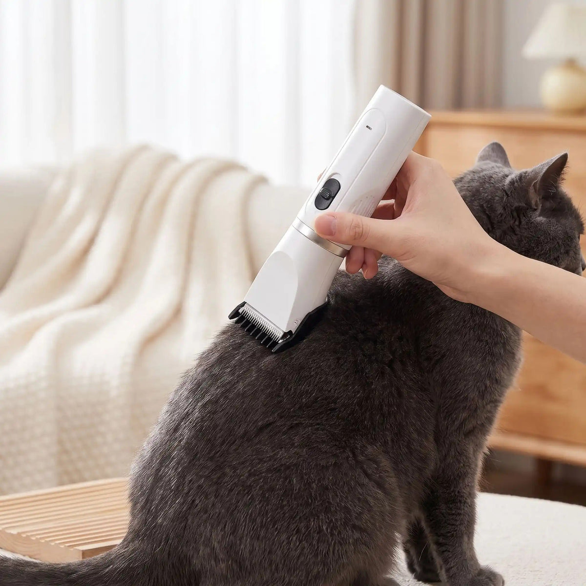 Tondeuse pour chat poil long précision parfaite