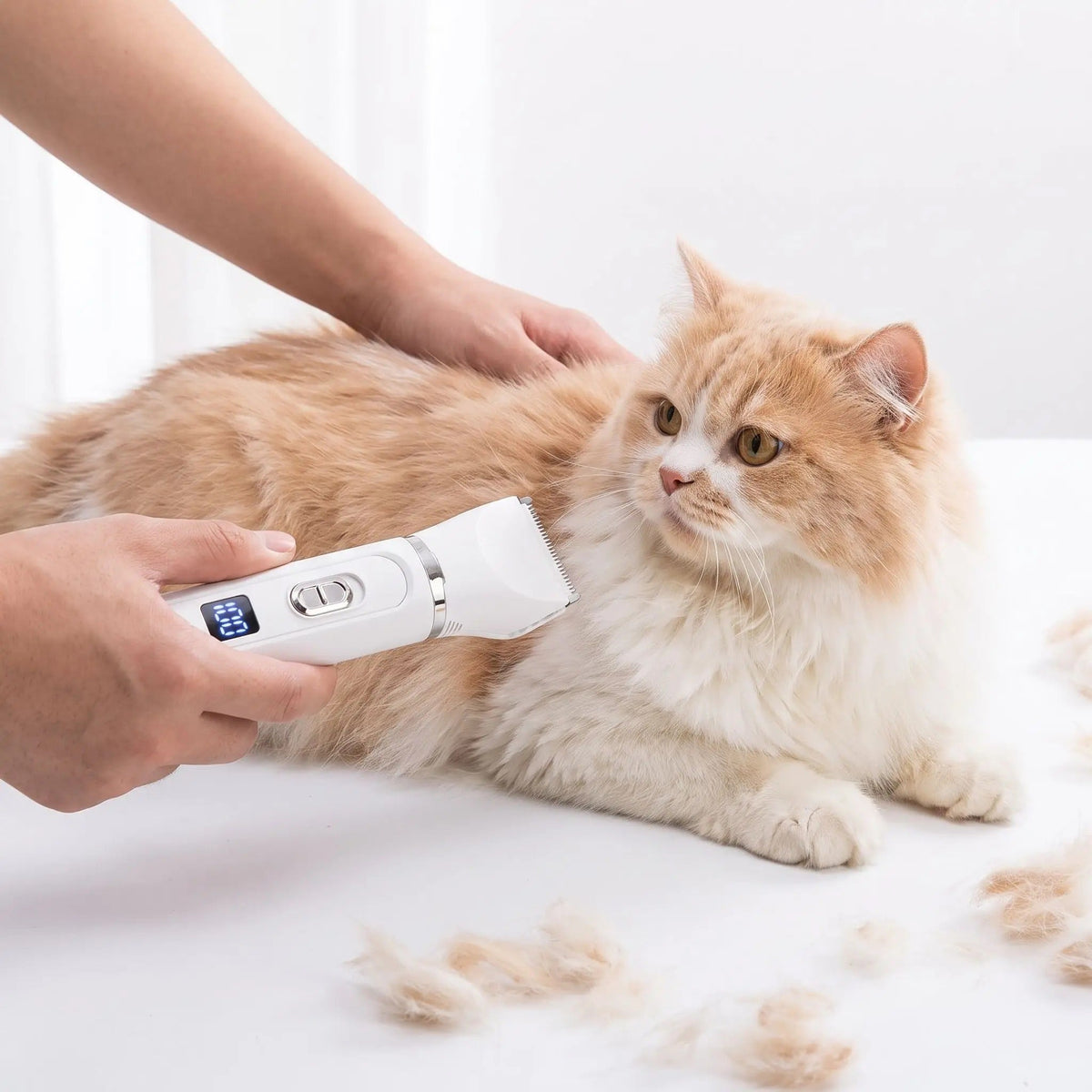 Tondeuse pour chat poil longsilencieuse