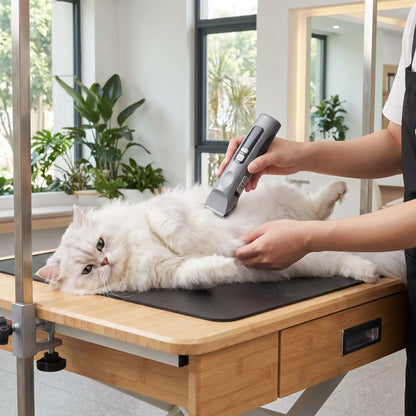 Tondeuse pour chat poils longs professionnel à domicile